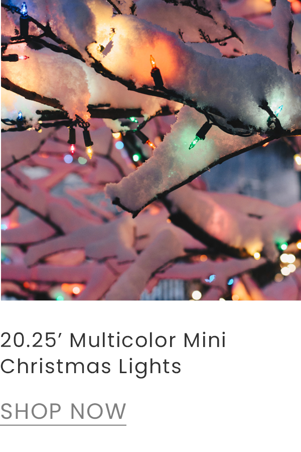 multicolor mini Christmas lights