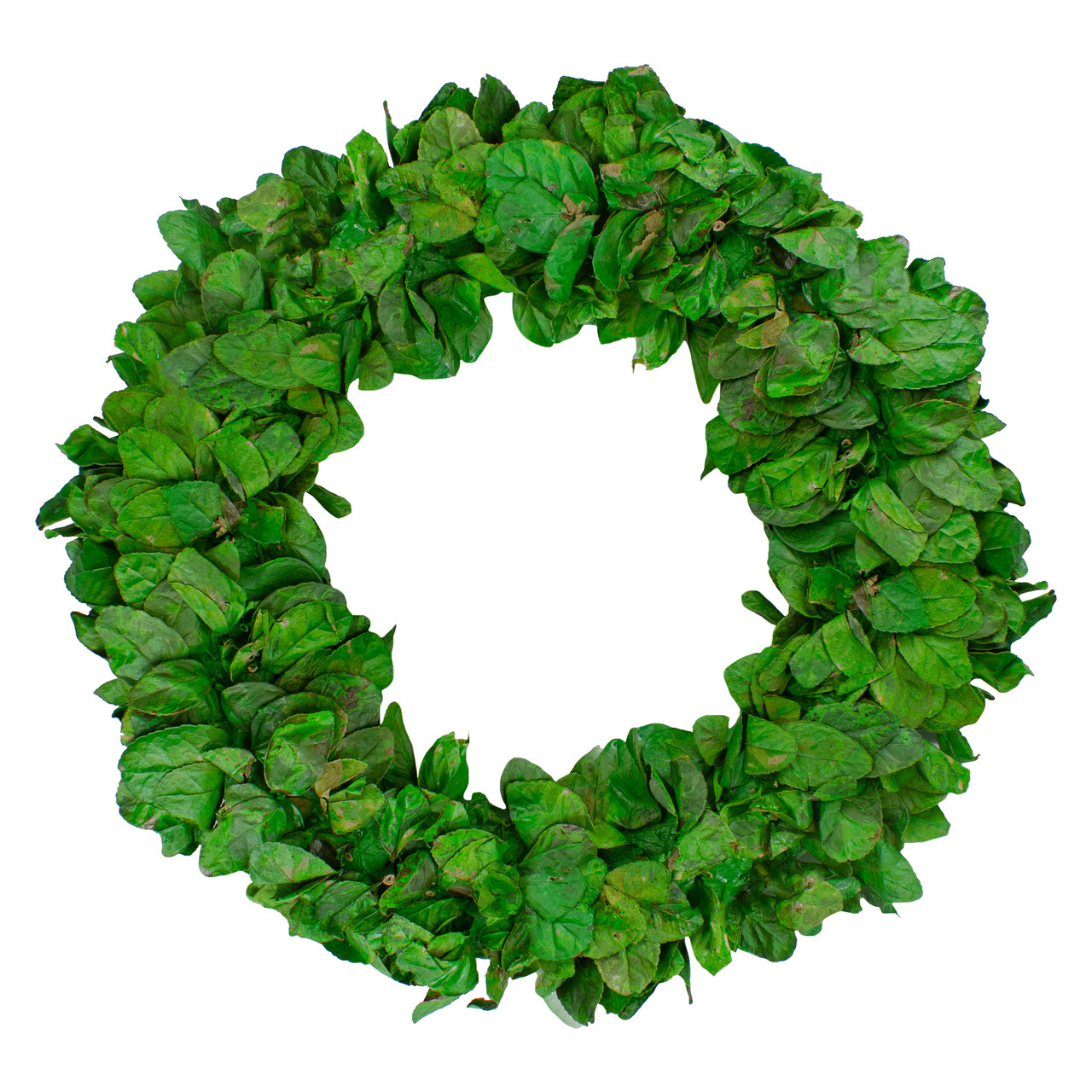 lush green preserved leaf spring garden wreath