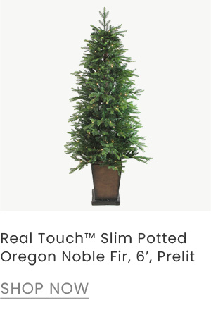 Real Touch Slim Potted Oregon Noble Fir