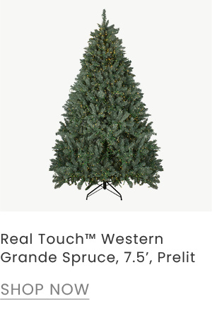 Real Touch Western Grande Spruce