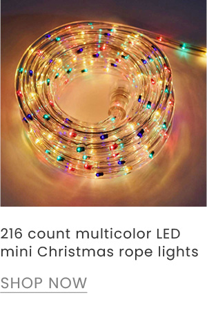 216 count multicolor LED mini Christmas rope light