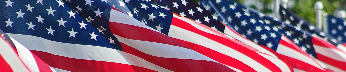 rows of American flags wave in the wind