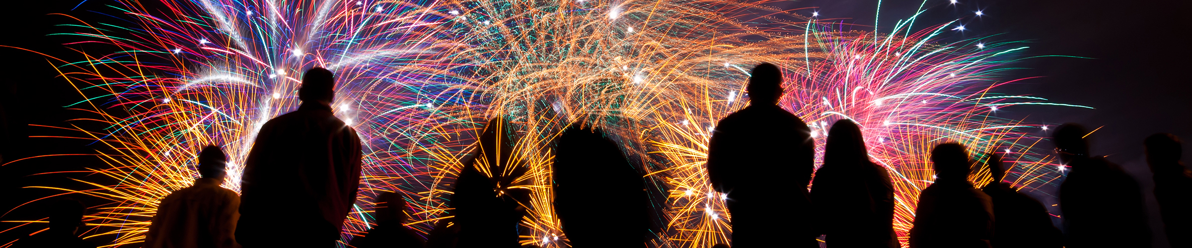 a crowd appears in silhouette against a colorful fireworks display