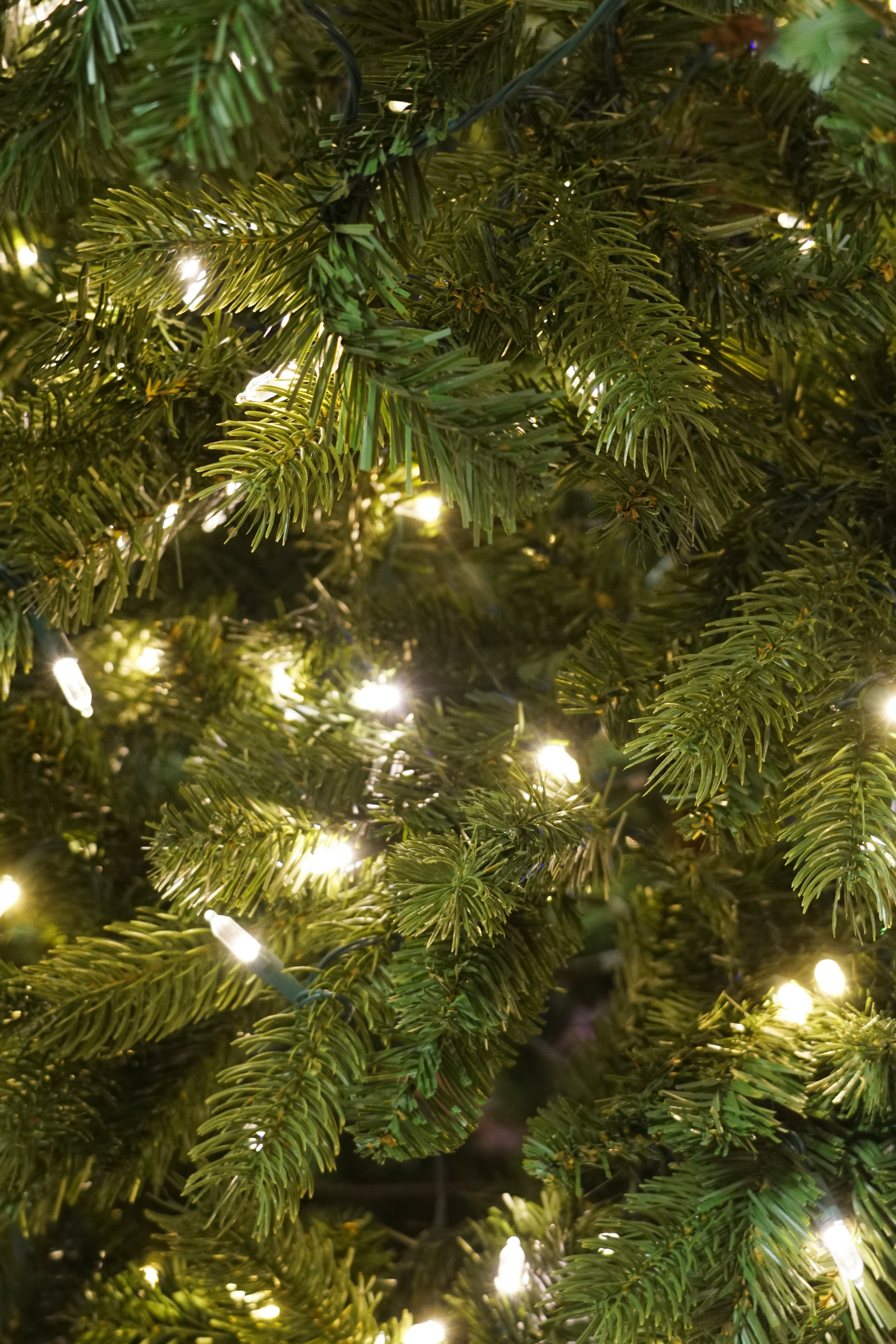 A Quick Guide to Picking the Best Christmas Lights