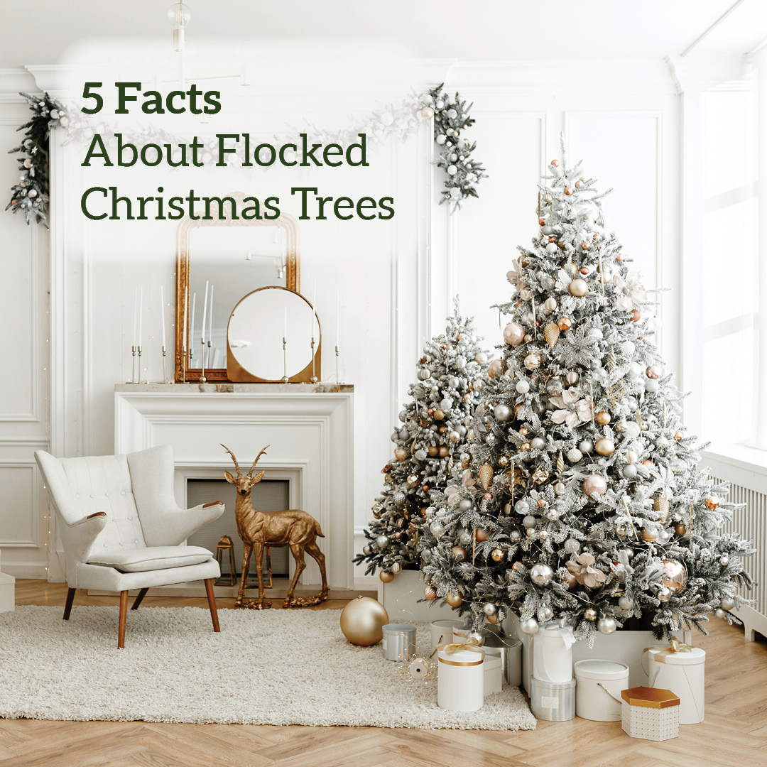 5 Facts About Flocked Christmas Trees - Christmas Central