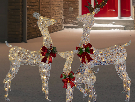 Outdoor Christmas Decor