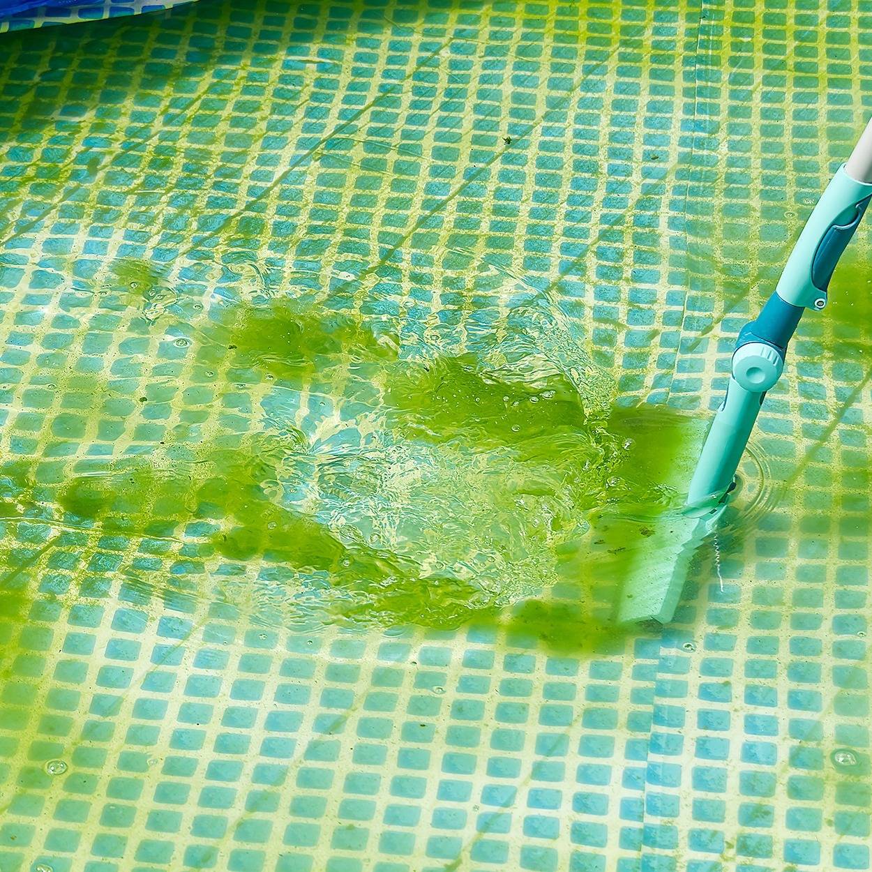 Kill Pool Why is the Water Green? How to Kill Pool Algae - Christmas Central