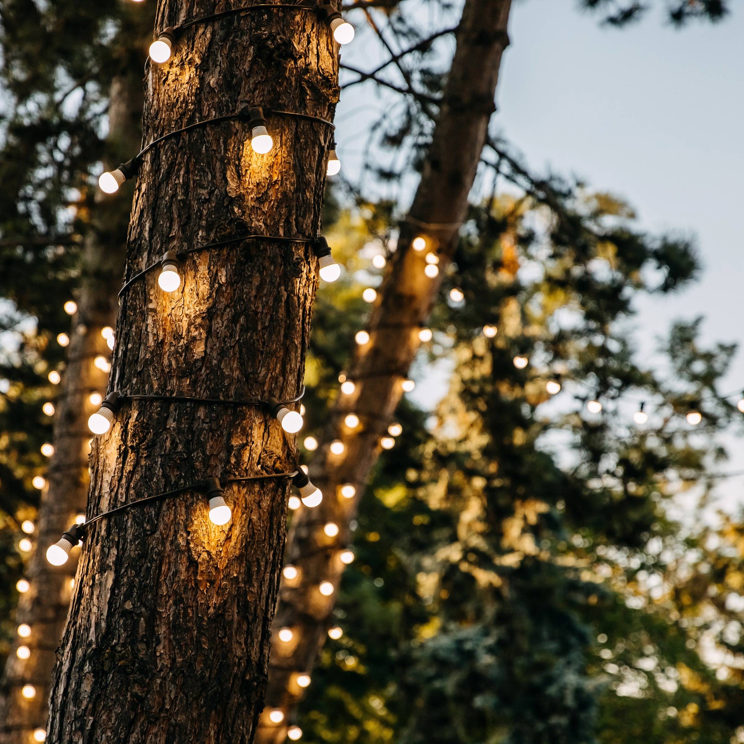 Patio Lights Made Simple: How to Hang Outdoor String Lights the Right ...