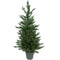 Real Touch™ Pre-Lit Medium Grande Spruce Artificial Potted Christmas Tree - 4' - Clear Lights - IMAGE 2 Real Touch™ Pre-Lit Medium Grande Spruce Artificial Potted Christmas Tree - 4' - Clear Lights - IMAGE 2