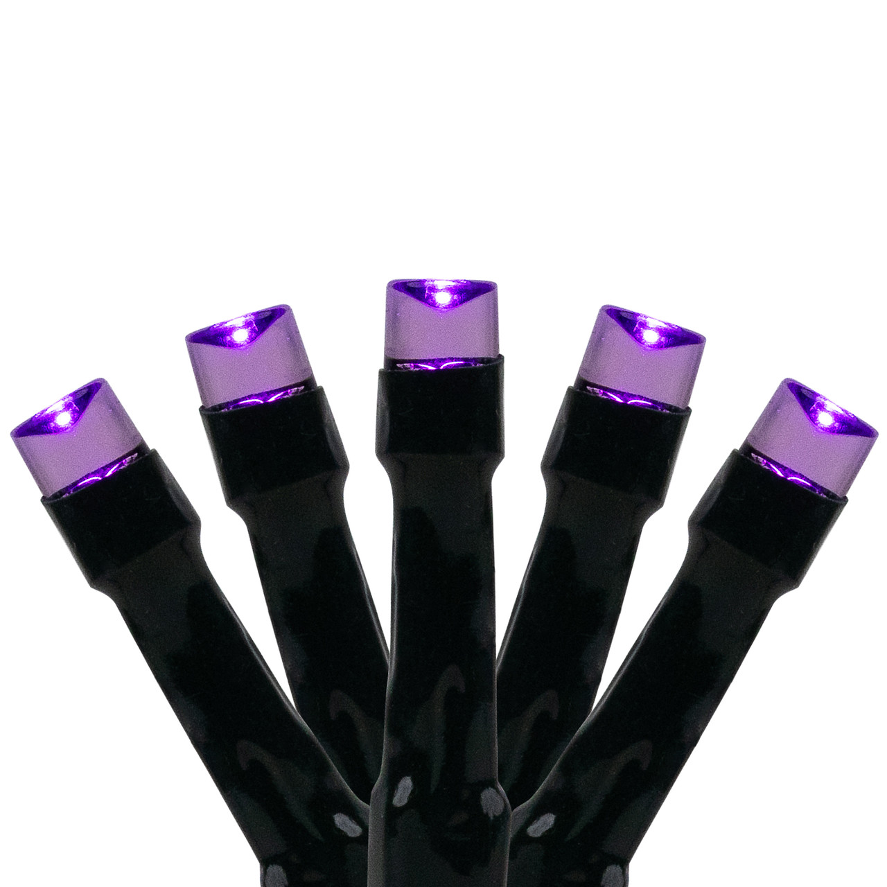 LED Wide Angle Halloween Lights - Purple 6.5" Spacing - Black Wire - 20ct