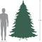 Real Touch™️Pre-Lit Pencil Northwood Noble Fir Artificial Christmas Tree - 7.5' - Clear Lights - IMAGE 5 Real Touch™️Pre-Lit Pencil Northwood Noble Fir Artificial Christmas Tree - 7.5' - Clear Lights - IMAGE 5