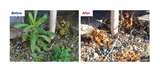 Can be used to control moss growth and weeds in areas such as paths, patios, gravel, unplanted areas of the garden, & around buildings