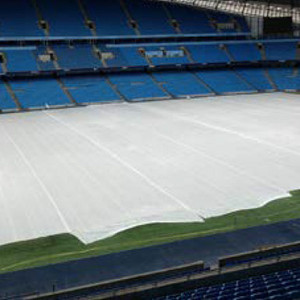 Seed germination sheet for growth under fabric on sports field Seed germination sheet for growth under fabric on sports field