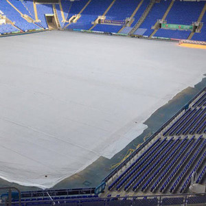 Seed germination sheet for growth under fabric on sports field Seed germination sheet for growth under fabric on sports field