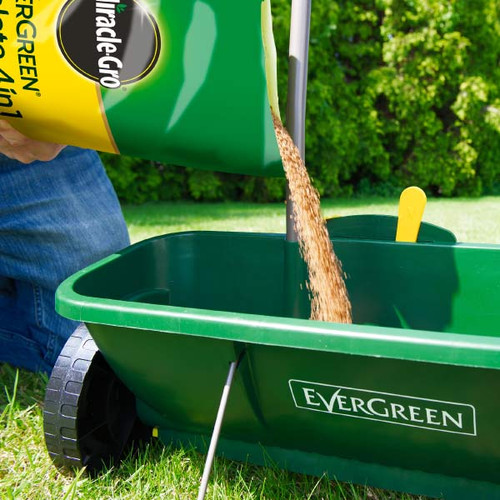 Evergreen shop lawn feed