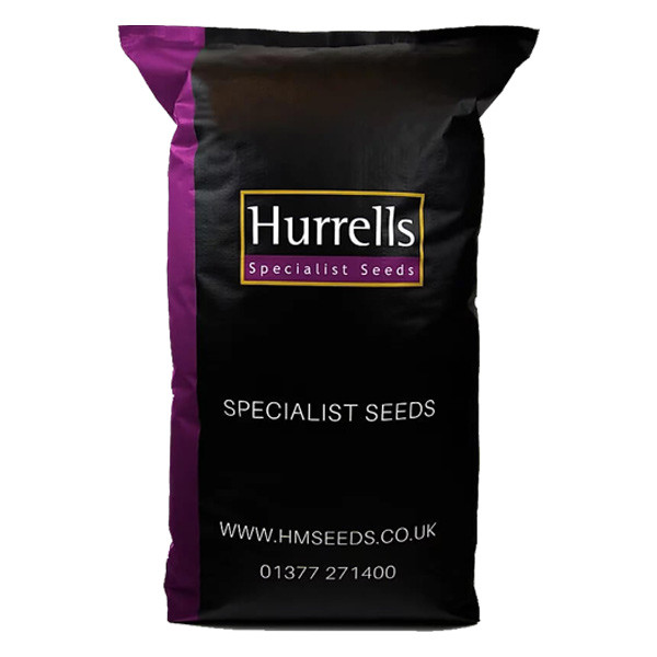 Hurrells FR3 Eco Football and Rugby Pitch 100% Ryegrass Grass Seed Mix 20kg Bag
