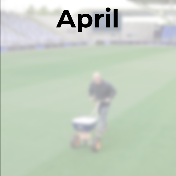 April pitch care jobs
