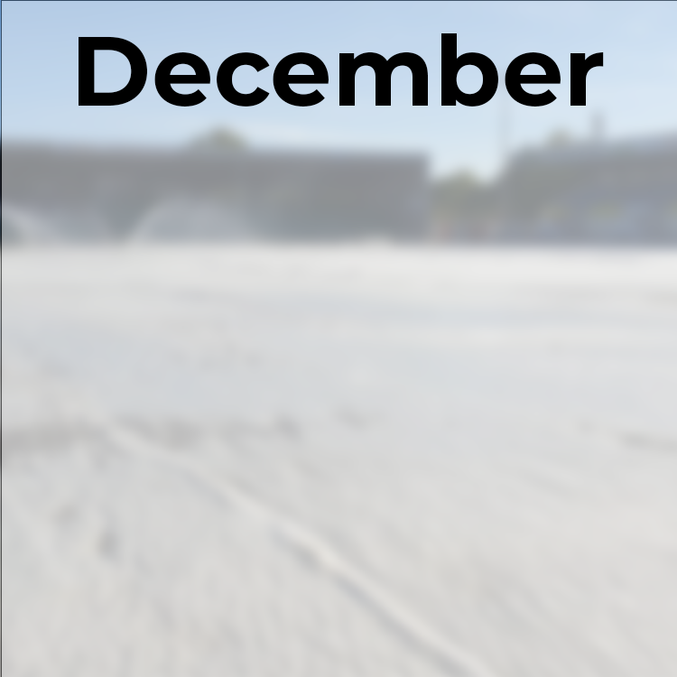 December pitch care jobs