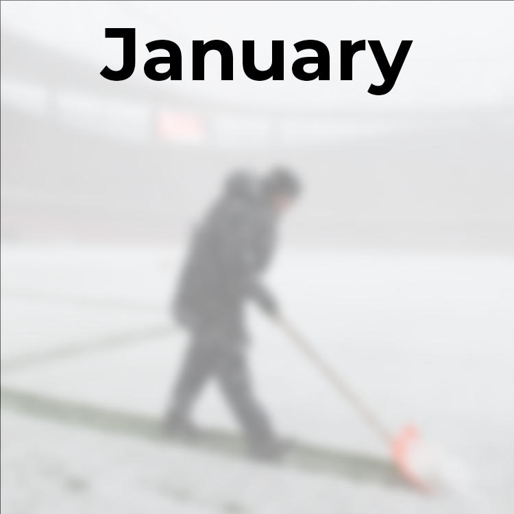 January pitch care jobs
