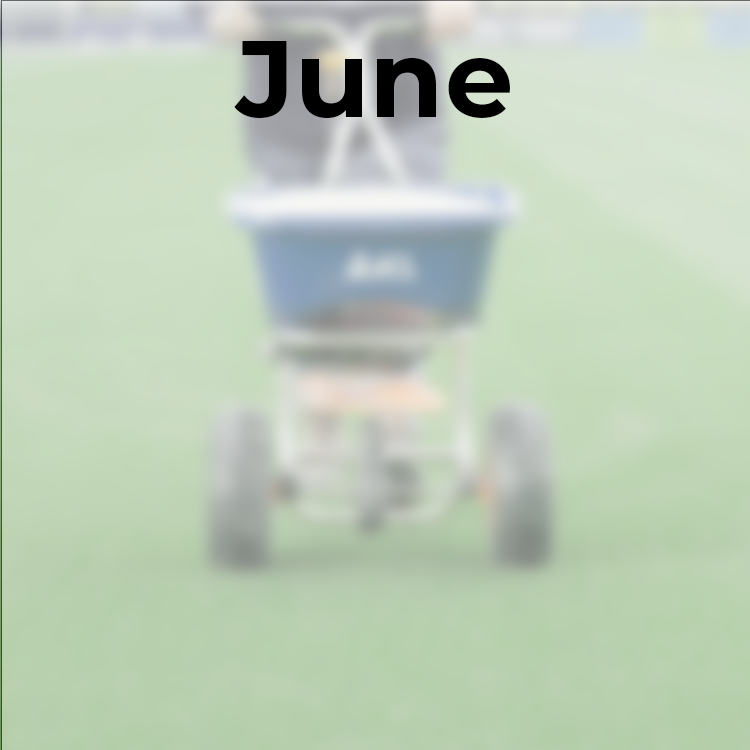 June pitch care jobs