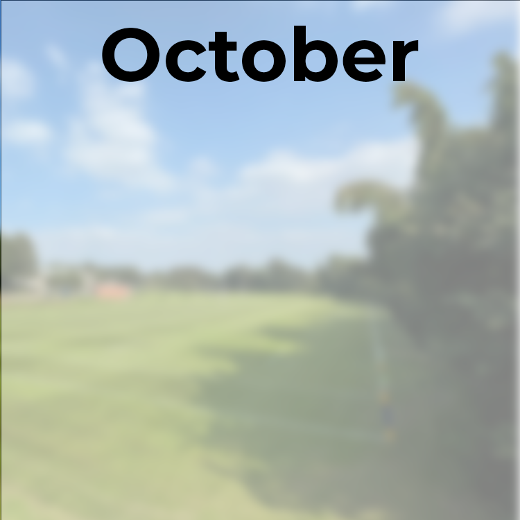 October pitch care jobs