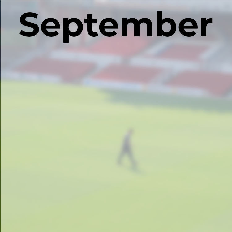 September pitch care jobs