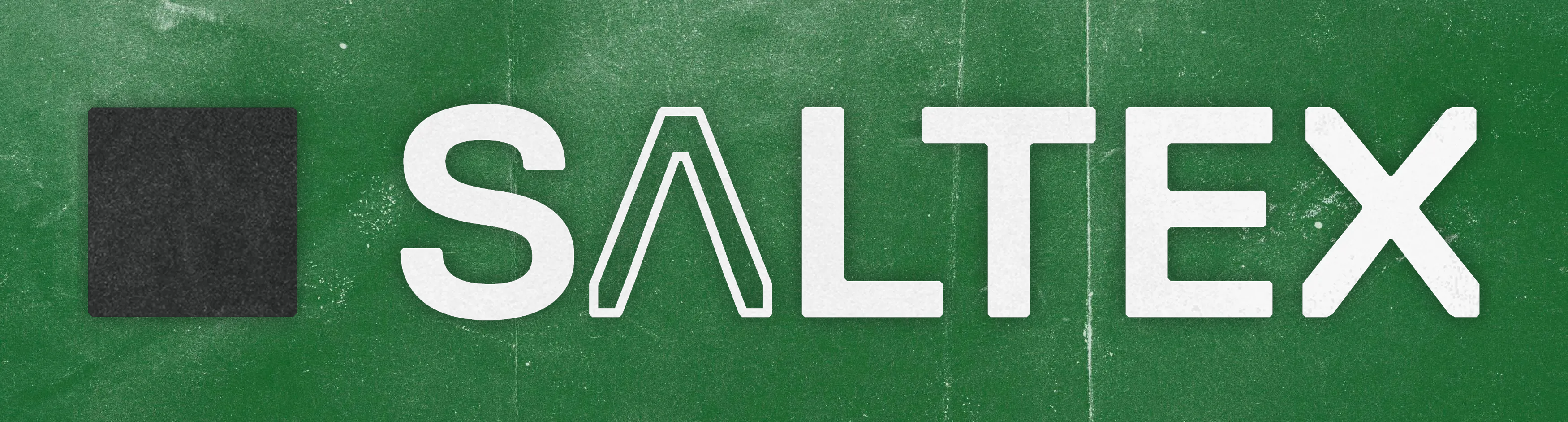saltex-24-logo.png