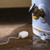 Leak Alert Sensor - SWIFI-LEAK