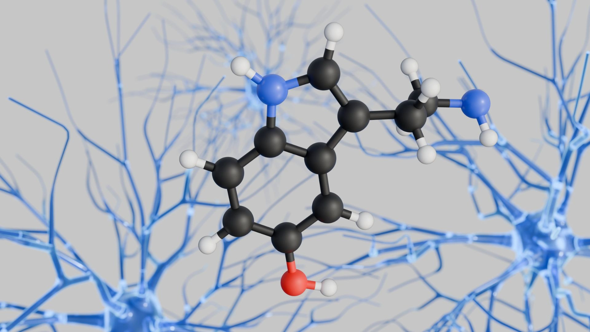 Understanding Serotonin Testing in Clinical Diagnostics