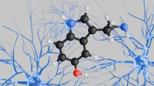 Understanding Serotonin Testing in Clinical Diagnostics