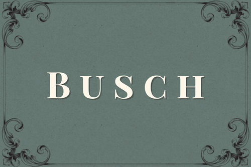 Dinner Auction Busch Level Sponsorship