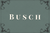 Dinner Auction Busch Level Sponsorship
