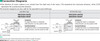 4RK25GN-CW2TE / 4GN12.5SA - Connection