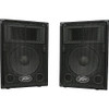 Peavey PVi 10 10" Two Way 100W PA Speaker Cabinet Pair