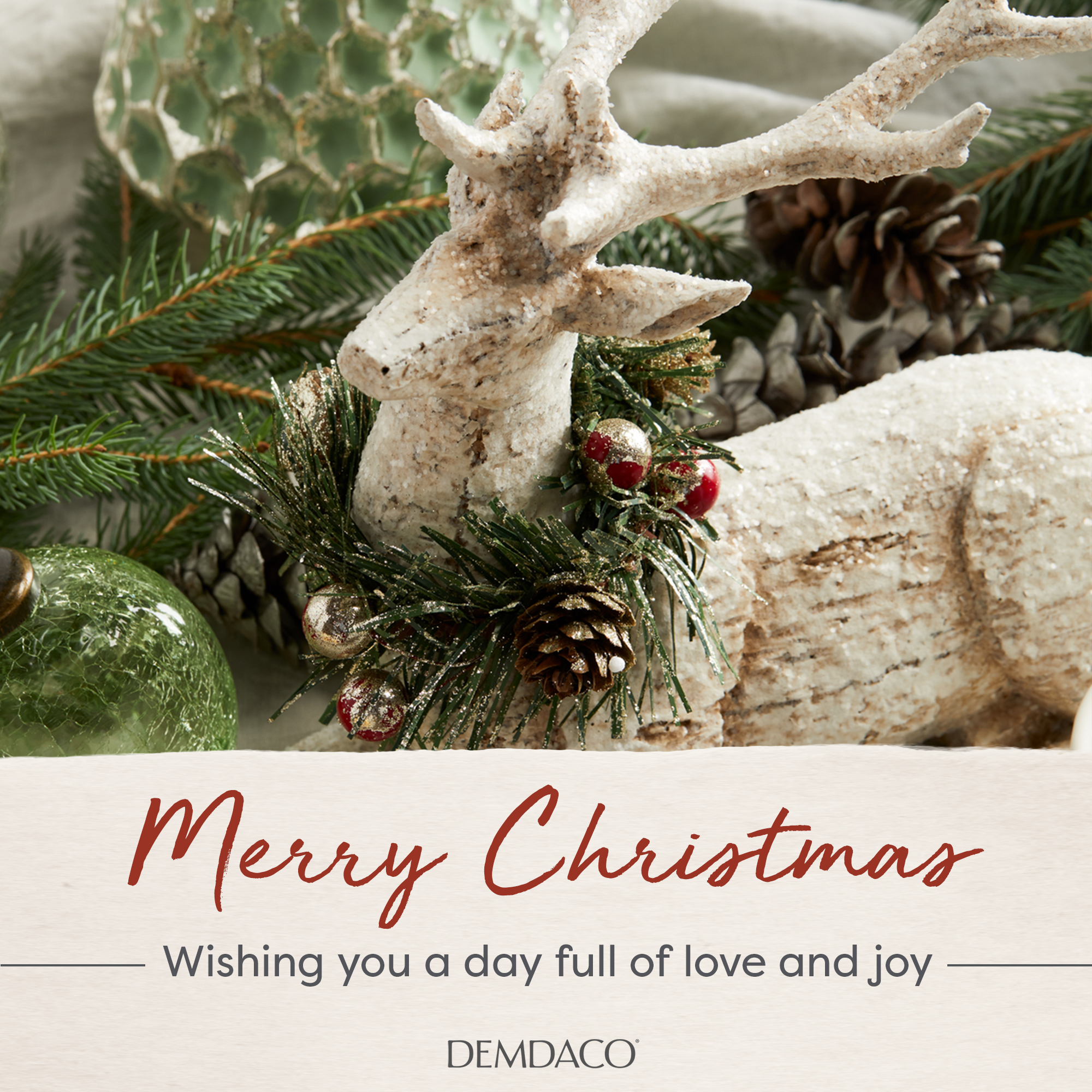 placeholder placeholder