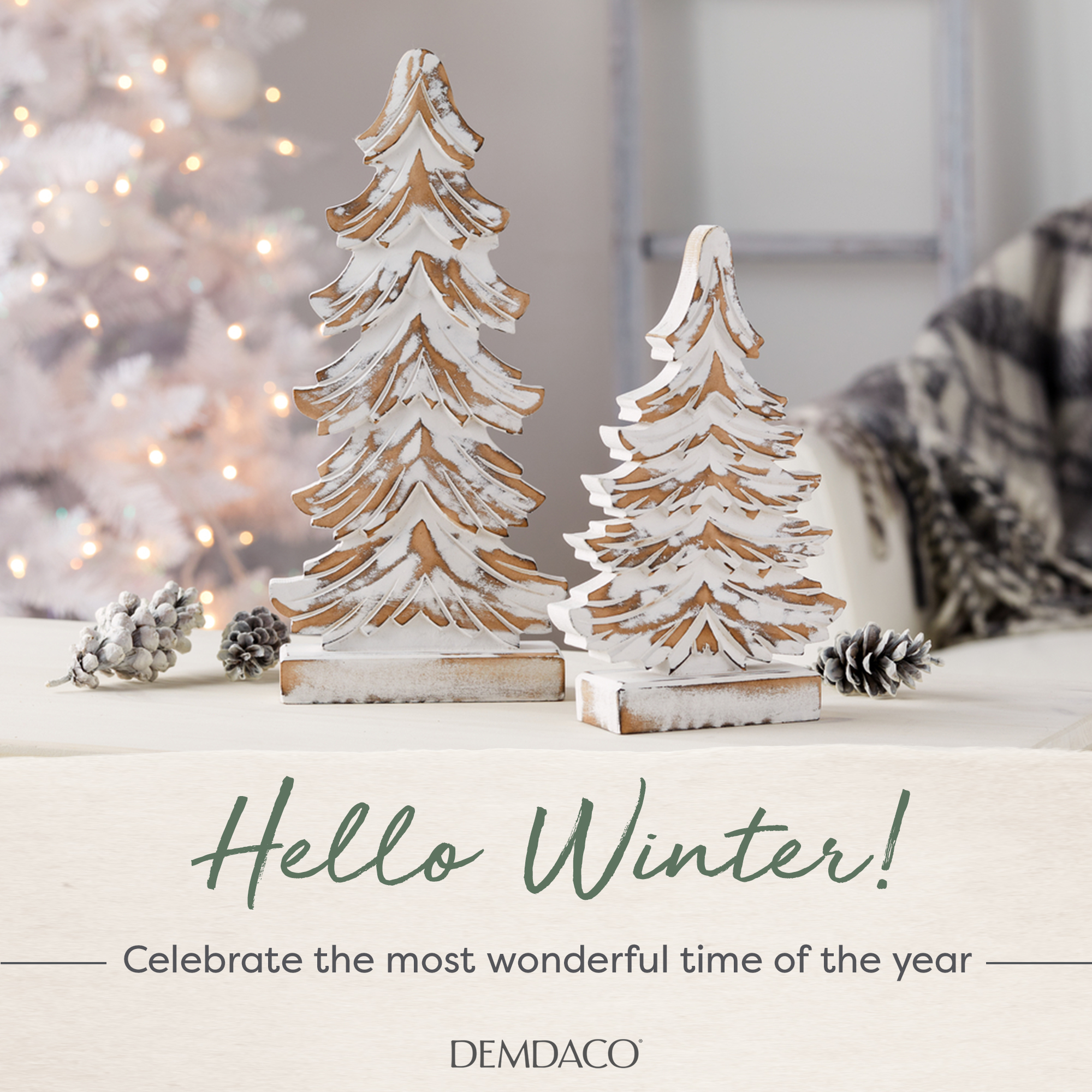 placeholder placeholder