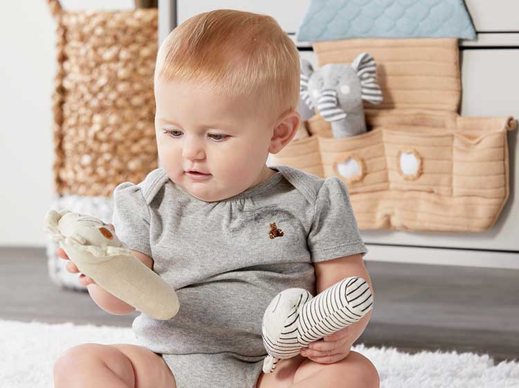 placeholder placeholder