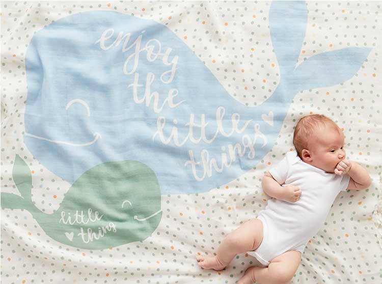 placeholder placeholder