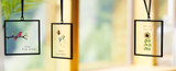 Suncatchers | Light-Filled Home Décor | DEMDACO