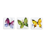 Three white magnets with various butterfly watercolor images on the front.
