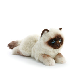 Cream/brown stuffed cat animal with blue eyes and brown face laying down