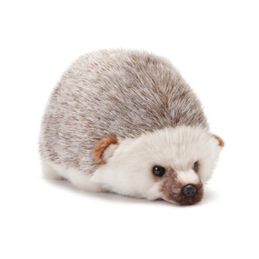 Stuffed white/spikey hedgehog animal
