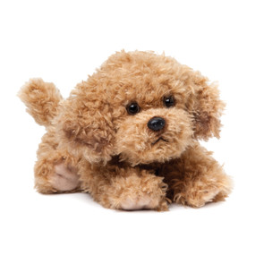 Light brown stuffed dog laying down - front view of its face