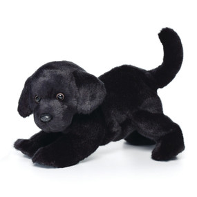 Small stuffed black dog side view