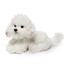 Side view of white stuffed dog animal laying down