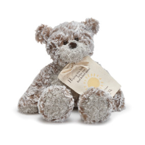 Light grey/brown stuffed bear facing forward wearing cream tag around its neck