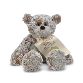Light grey stuffed bear with tan tag of 'Always remember anything is possible' in black letters
