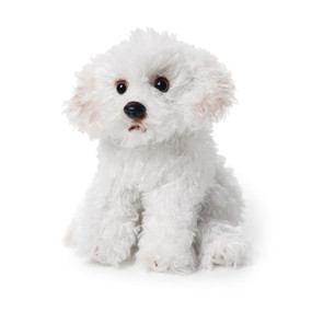 Bichon Frise Beanbag