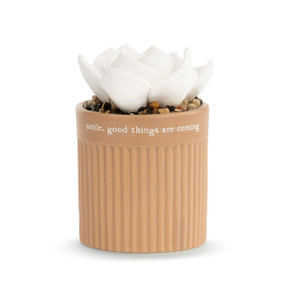 A small, stripe textured, burnt orange vase that reads "smile, good things are coming", filled with an assortment of small rocks, and a white succulent oil diffuser.