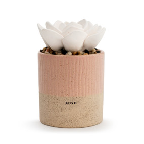 A small, speckle textured, tan and light pink vase, that reads xoxo", and is filled with an assortment of small rocks, and a white succulent oil diffuser."
